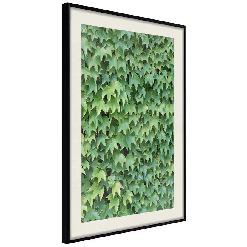 Poster Artgeist Affisch Thick Ivy
