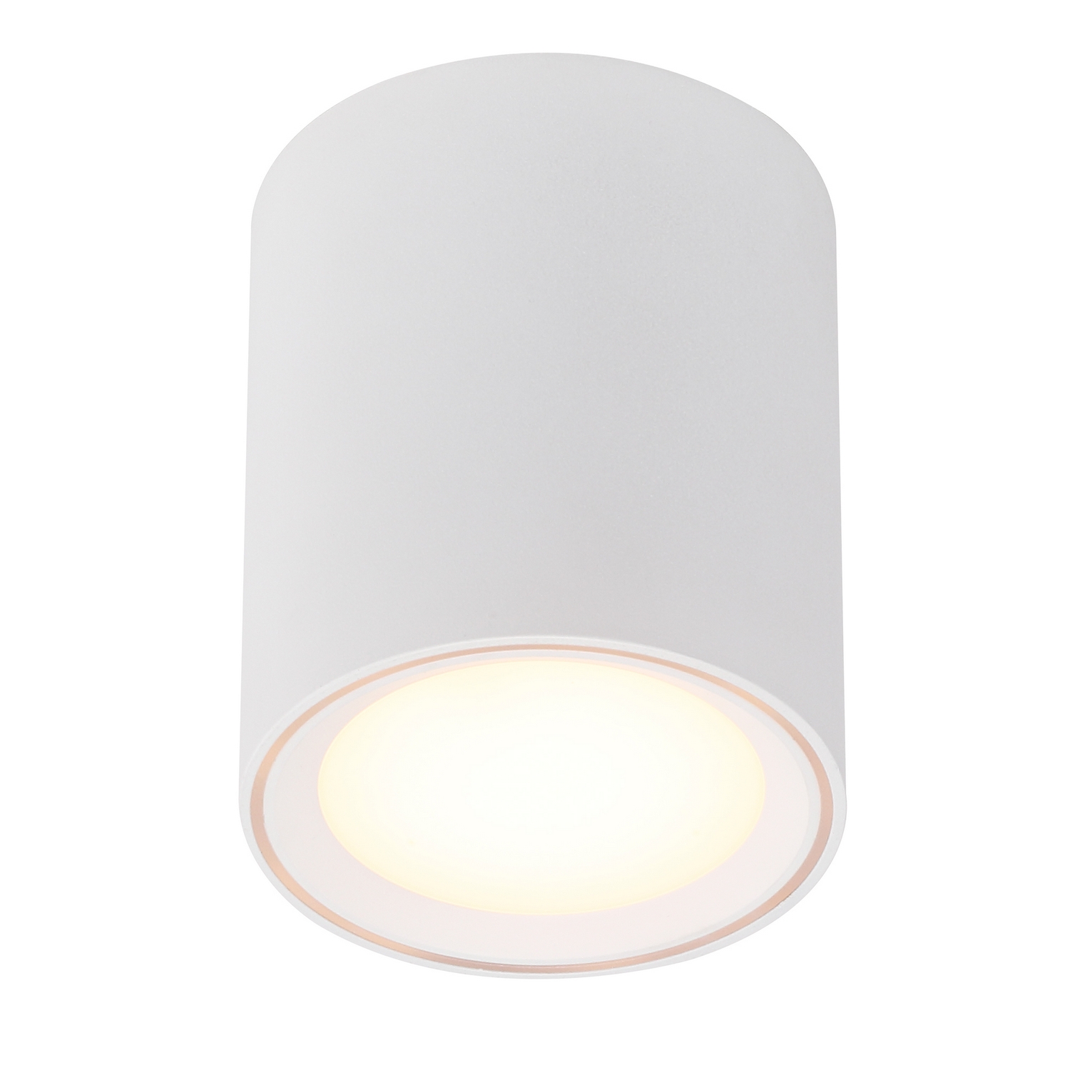 Taklampa Nordlux Fallon 120