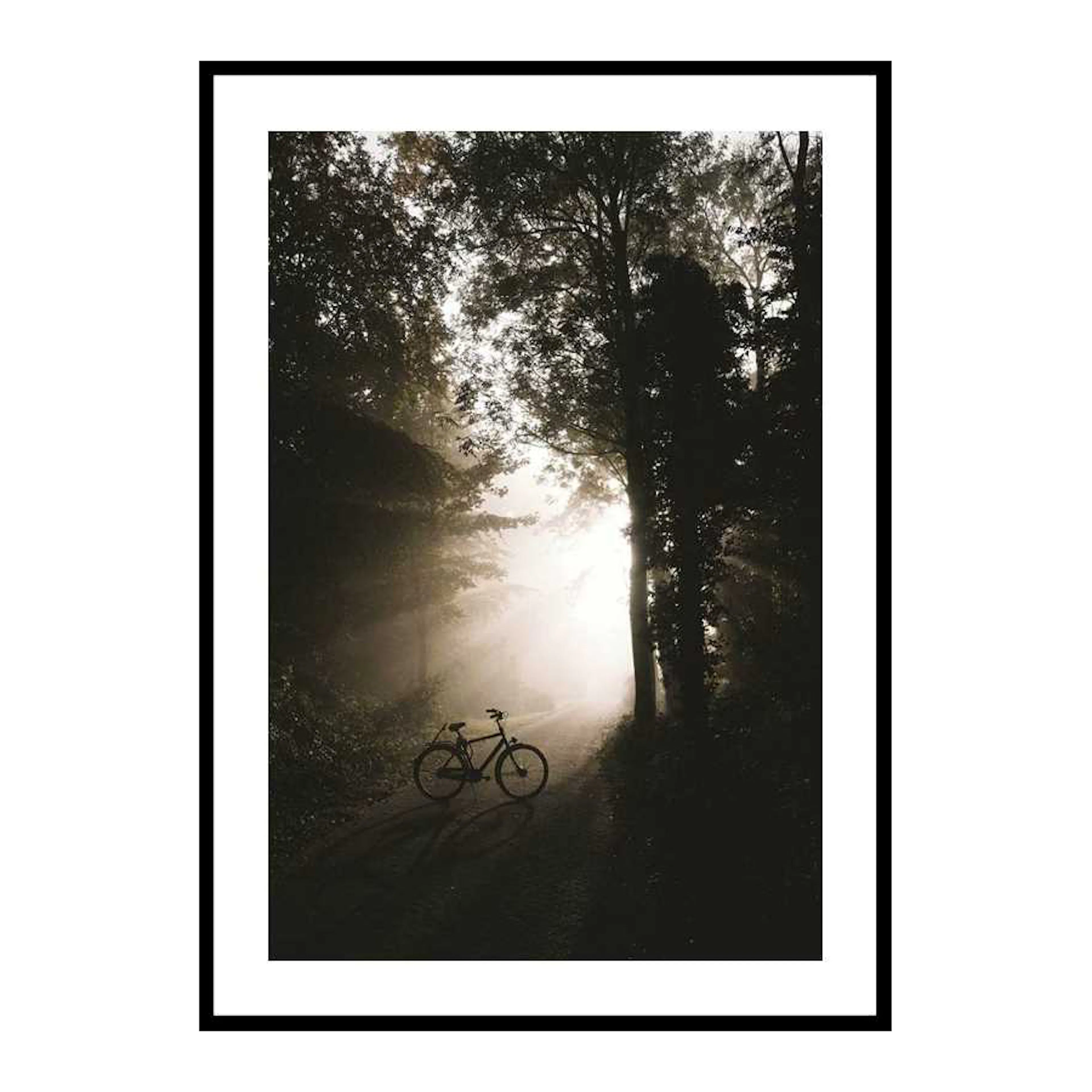Poster Gallerix Bike In Forest