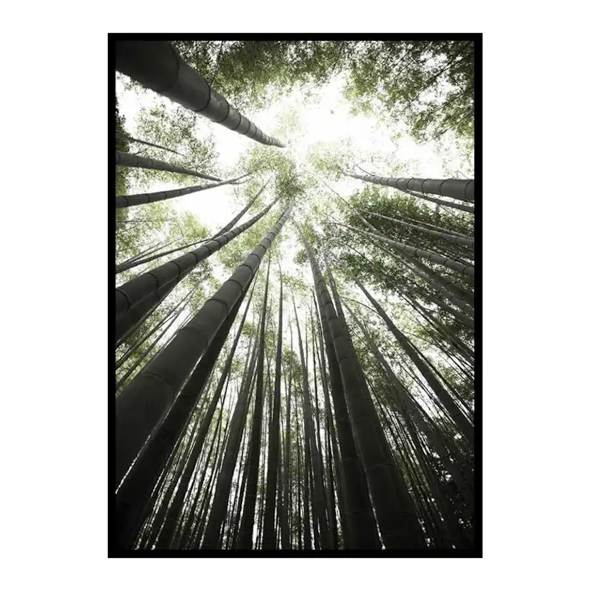 Poster Gallerix Bamboo Forest