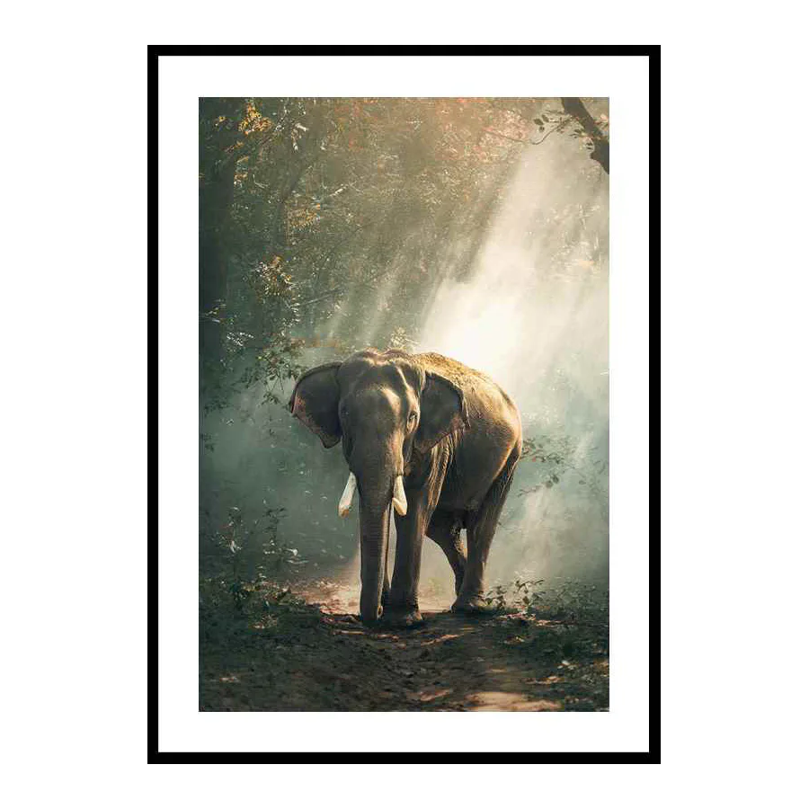 Poster Gallerix Forest Elephant