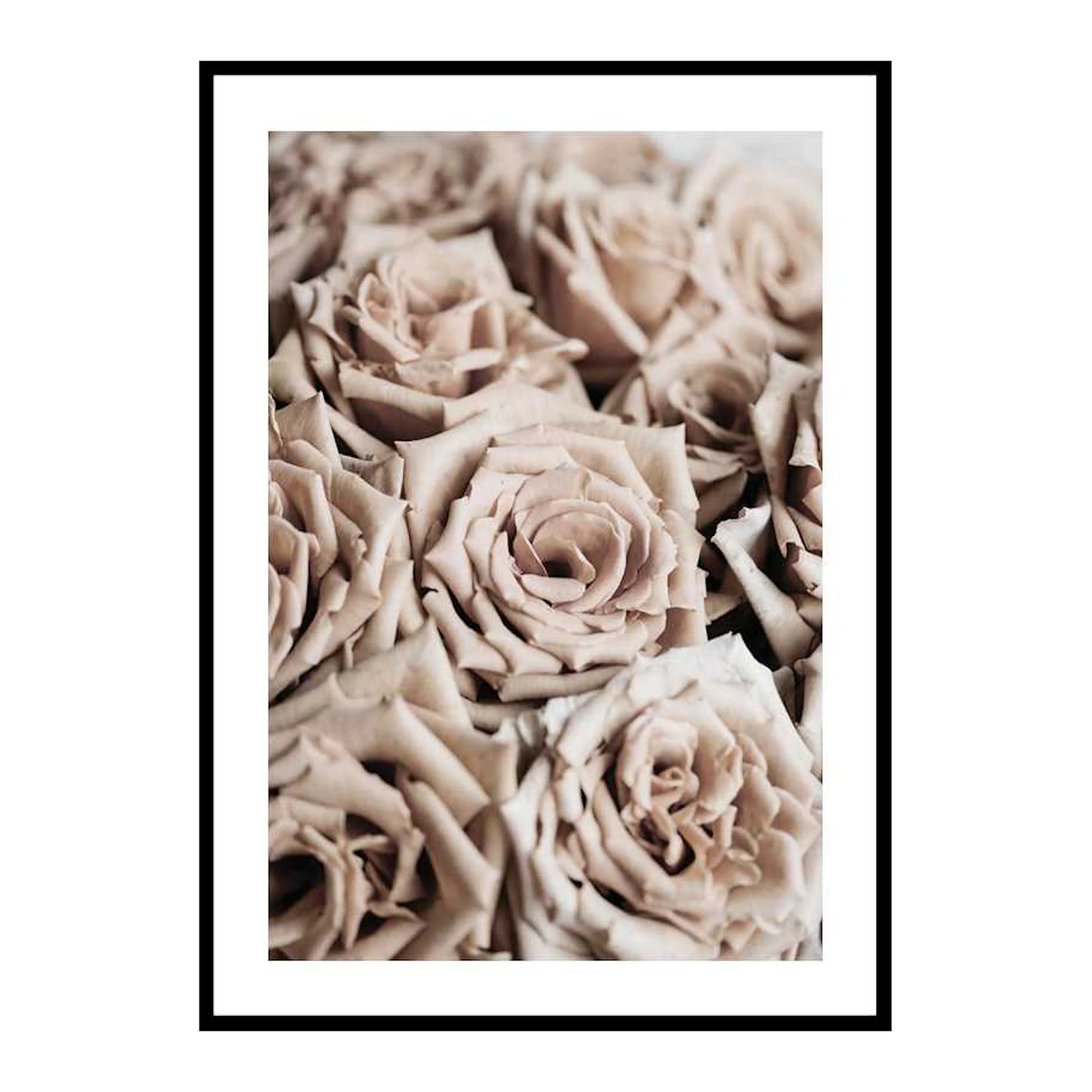 Roses 30x40 cm