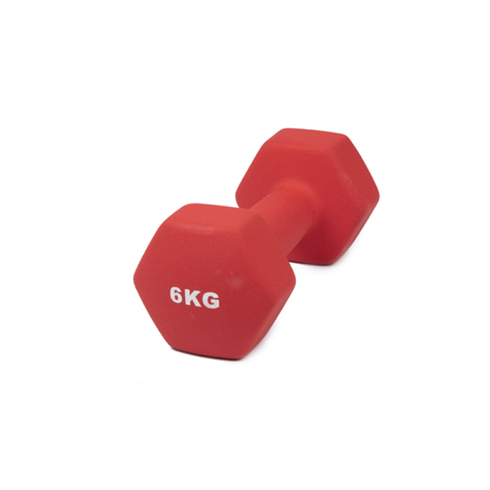 Hantel Briv Neopren 6 kg