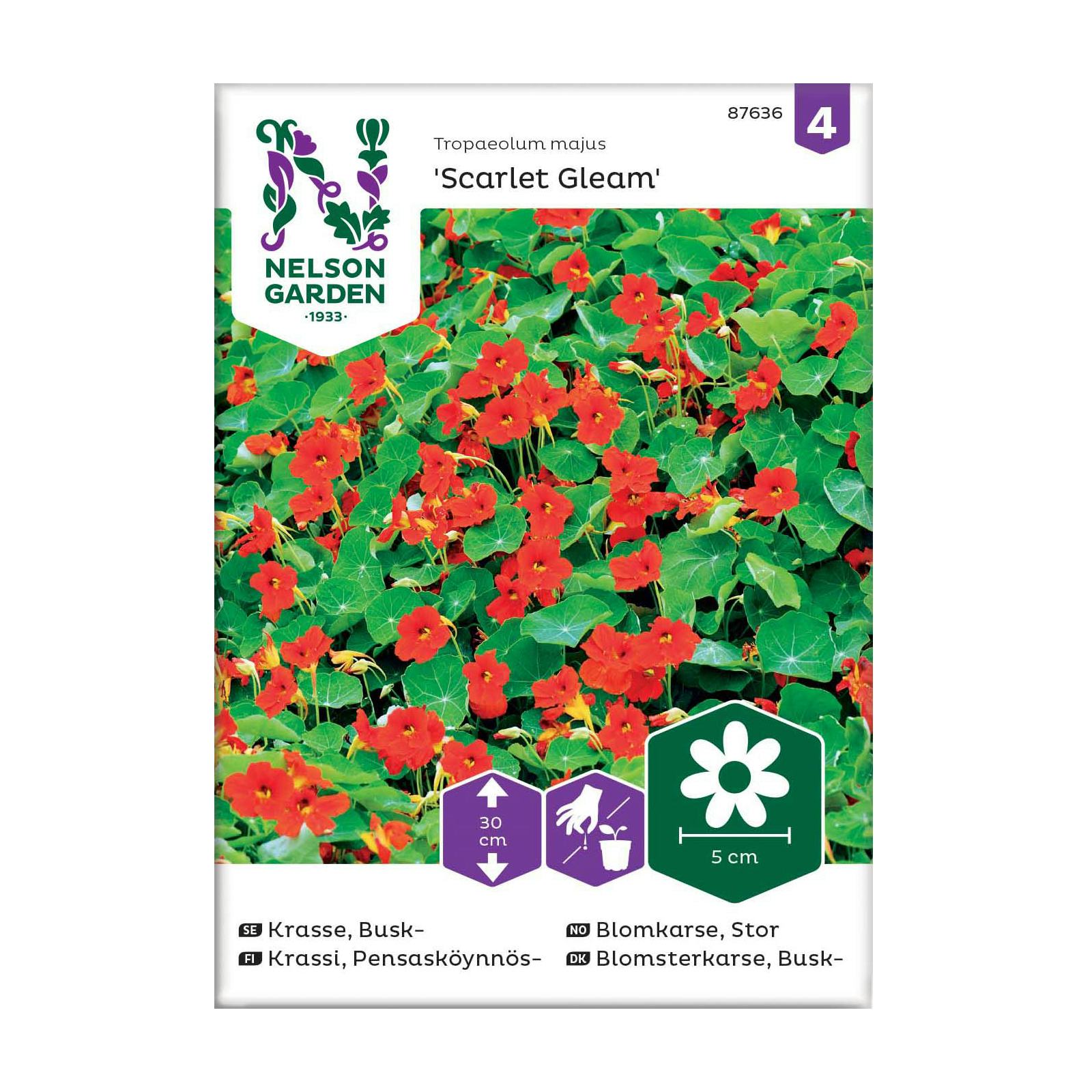 Frö Buskkrasse Nelson Garden Scarlet Gleam Röd