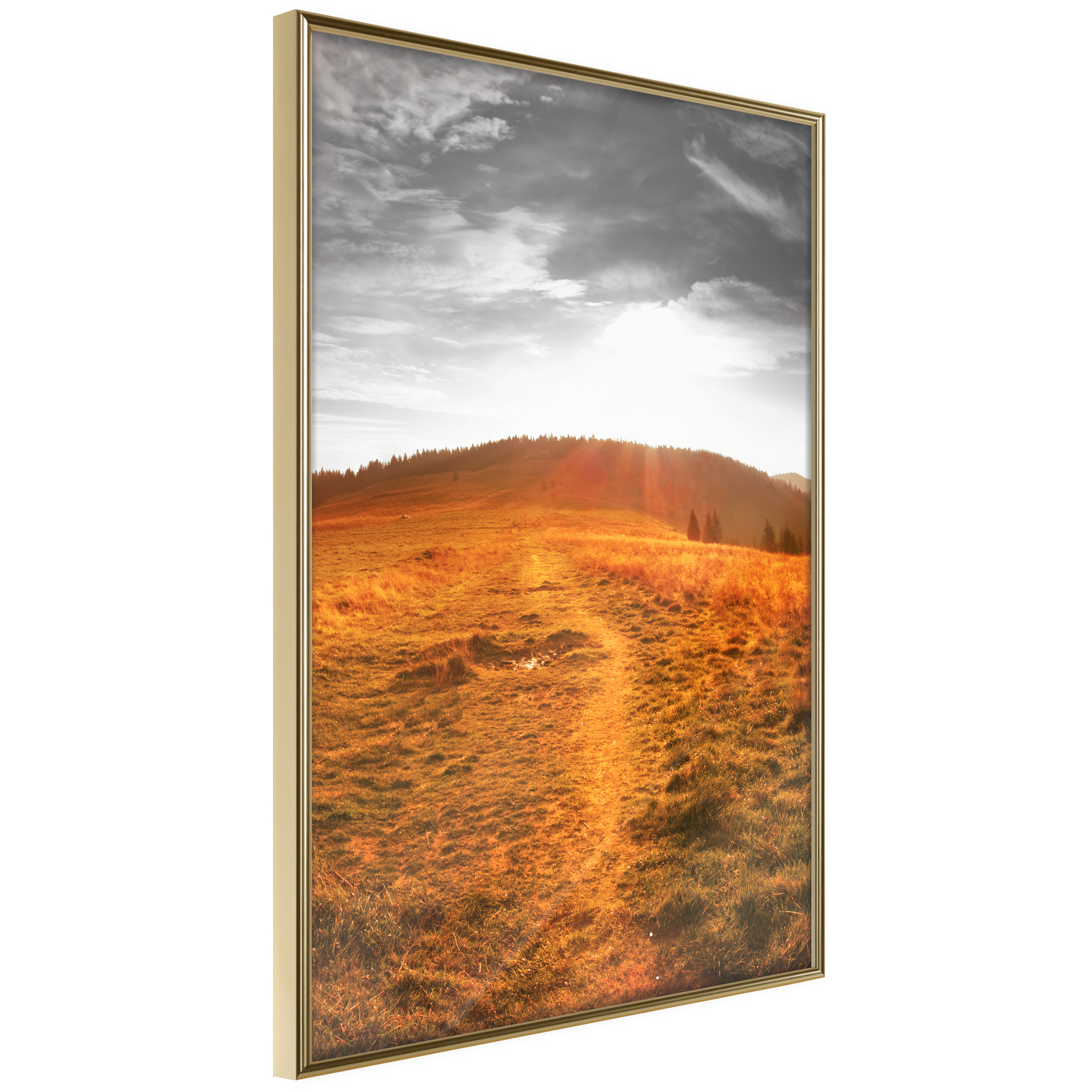 Affisch - Idyll [Poster] 30x45 Guld ram, 30x45 cm