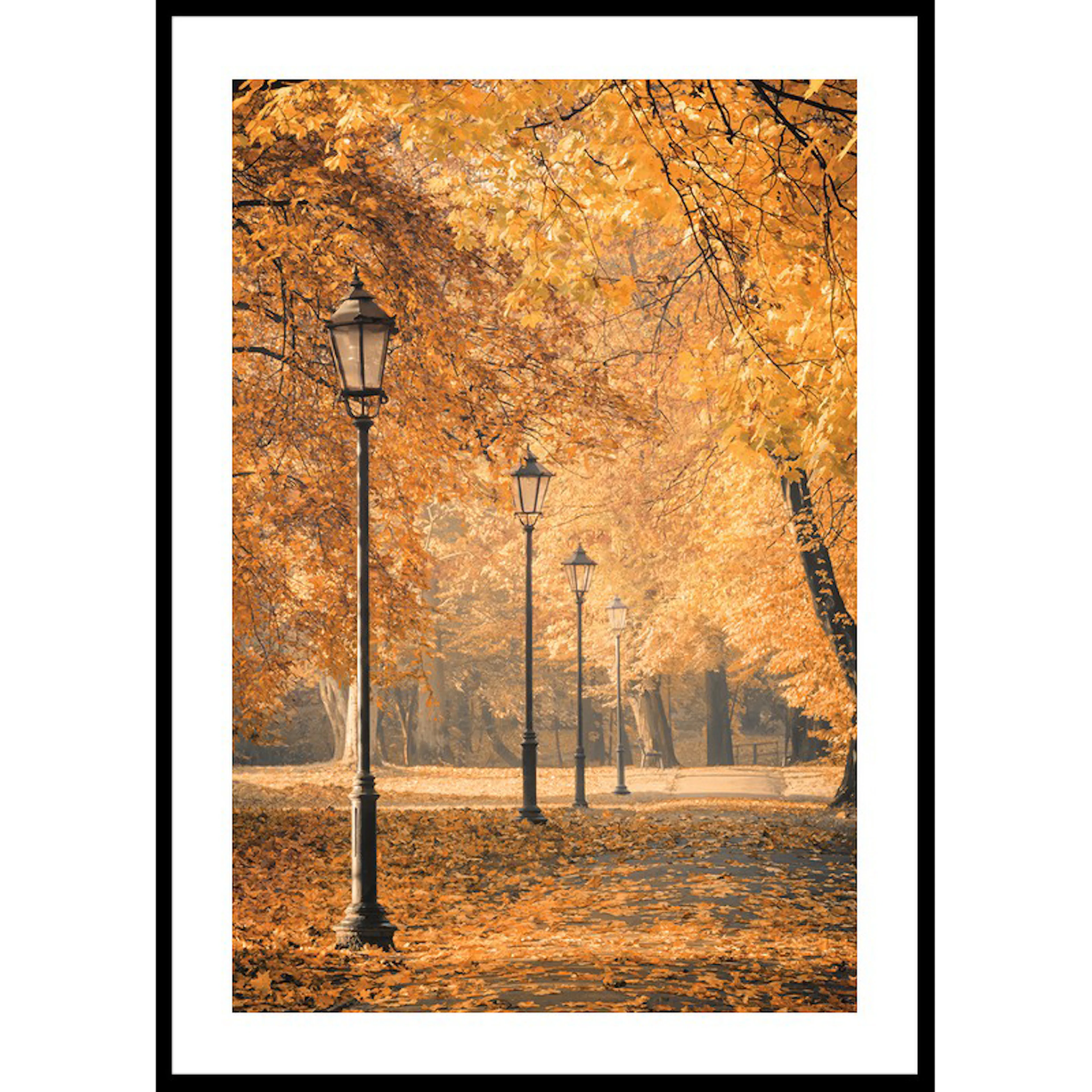 Poster Gallerix Autumn Walkway