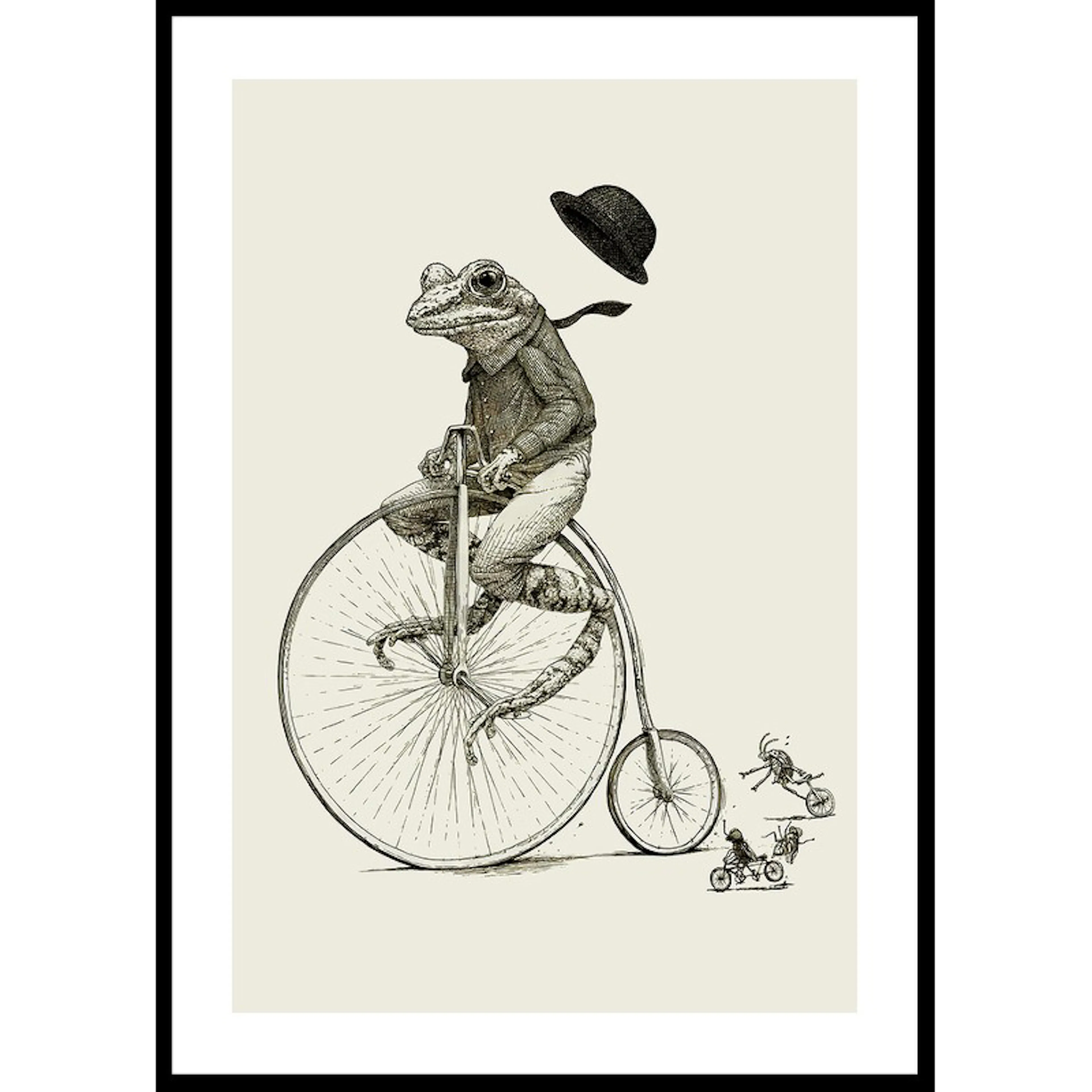 Frog On A Bicycle 50x70 50x70 cm