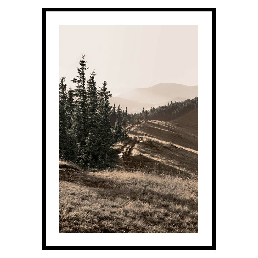 Poster Gallerix Carpathian Mountains