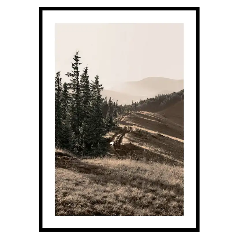 Poster Gallerix Carpathian Mountains