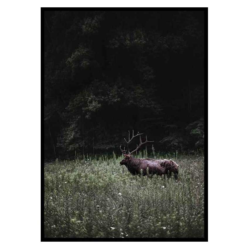 Poster Gallerix Deer in Nature