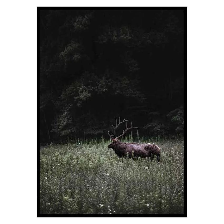 Poster Gallerix Deer in Nature