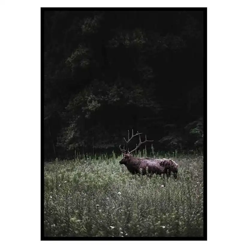 Poster Gallerix Deer in Nature