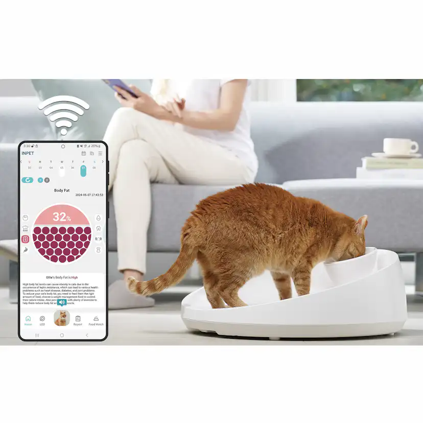 Kattvåg Våg Inpet CV1