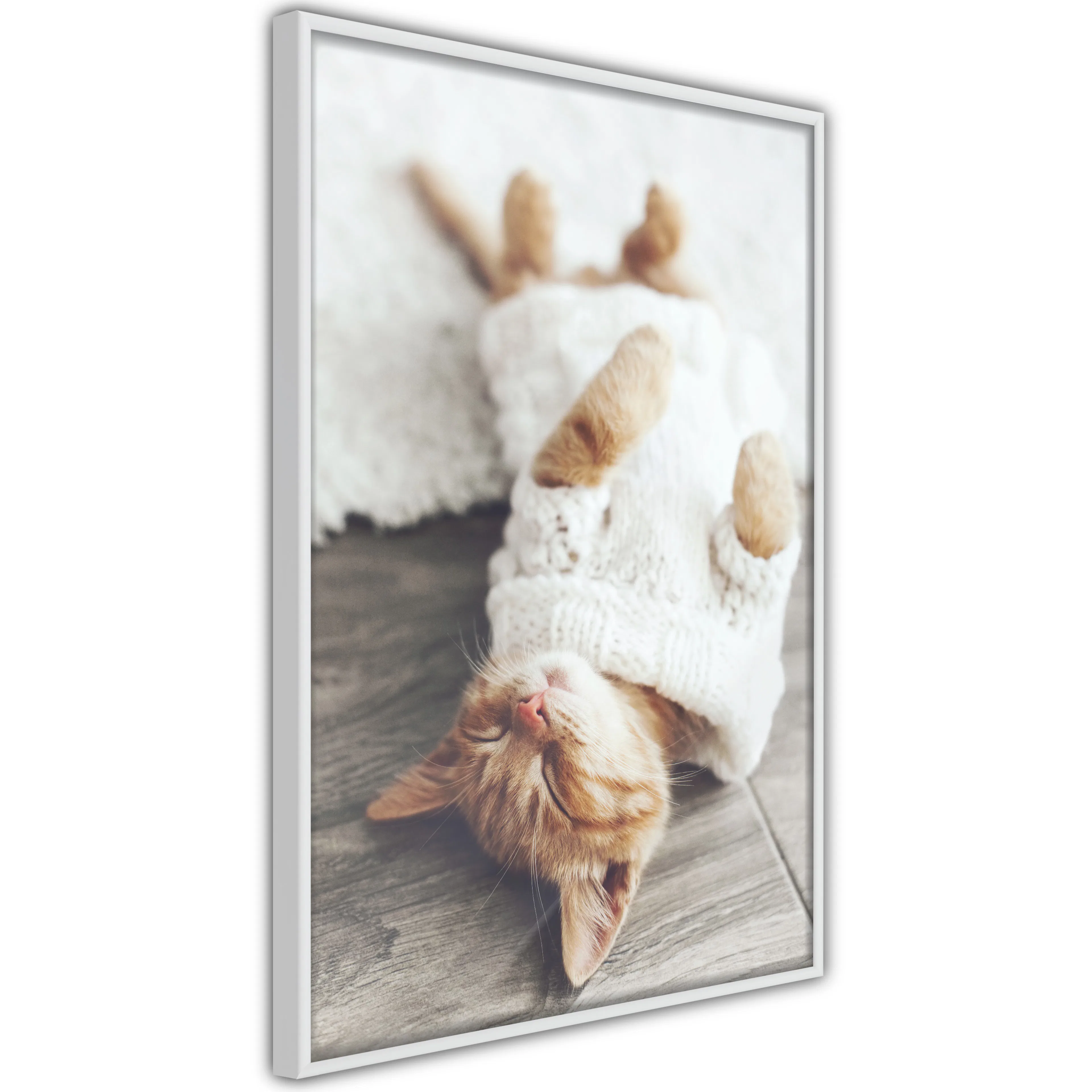 Poster Artgeist Affisch Lazy Cat