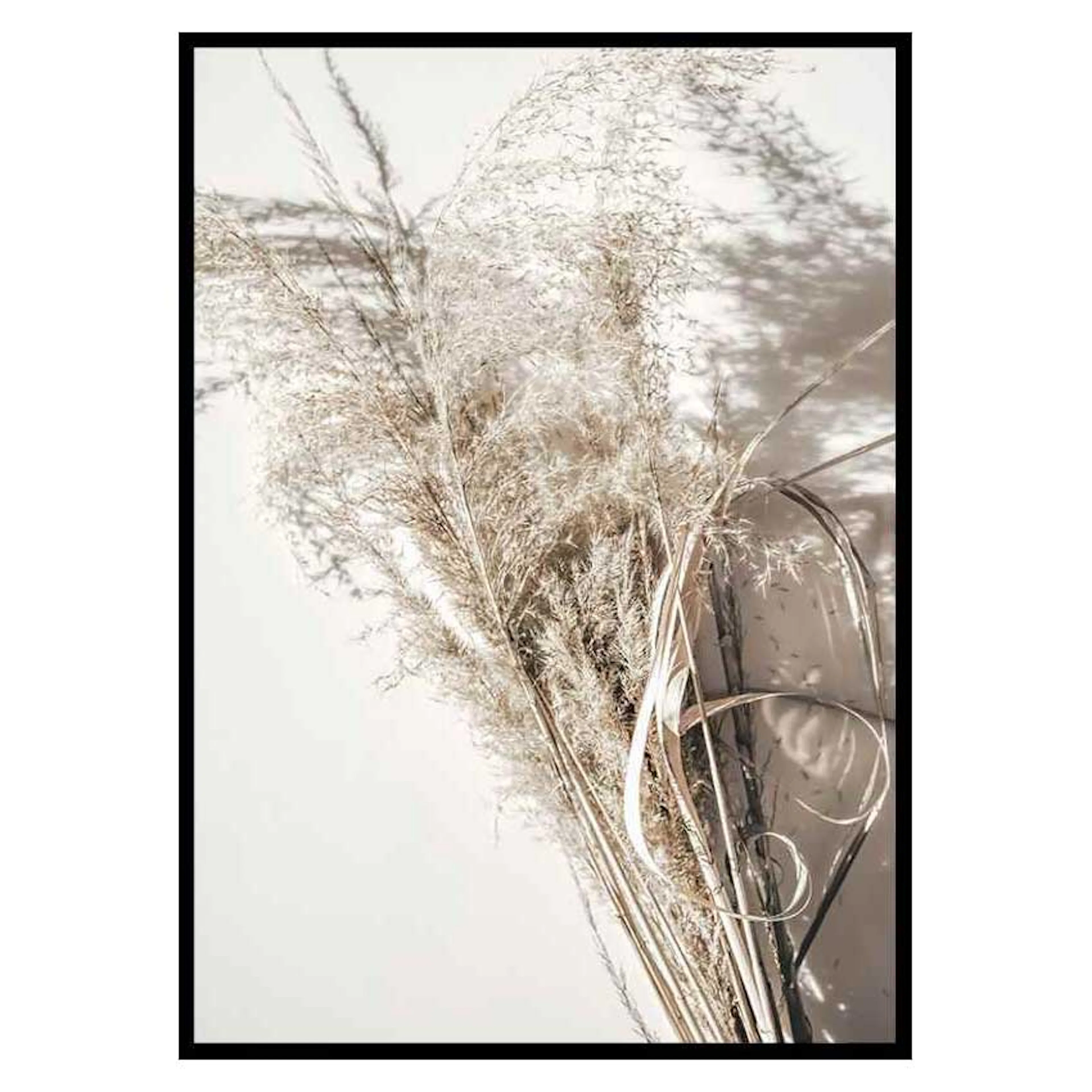 Poster Gallerix Dry Reeds No2