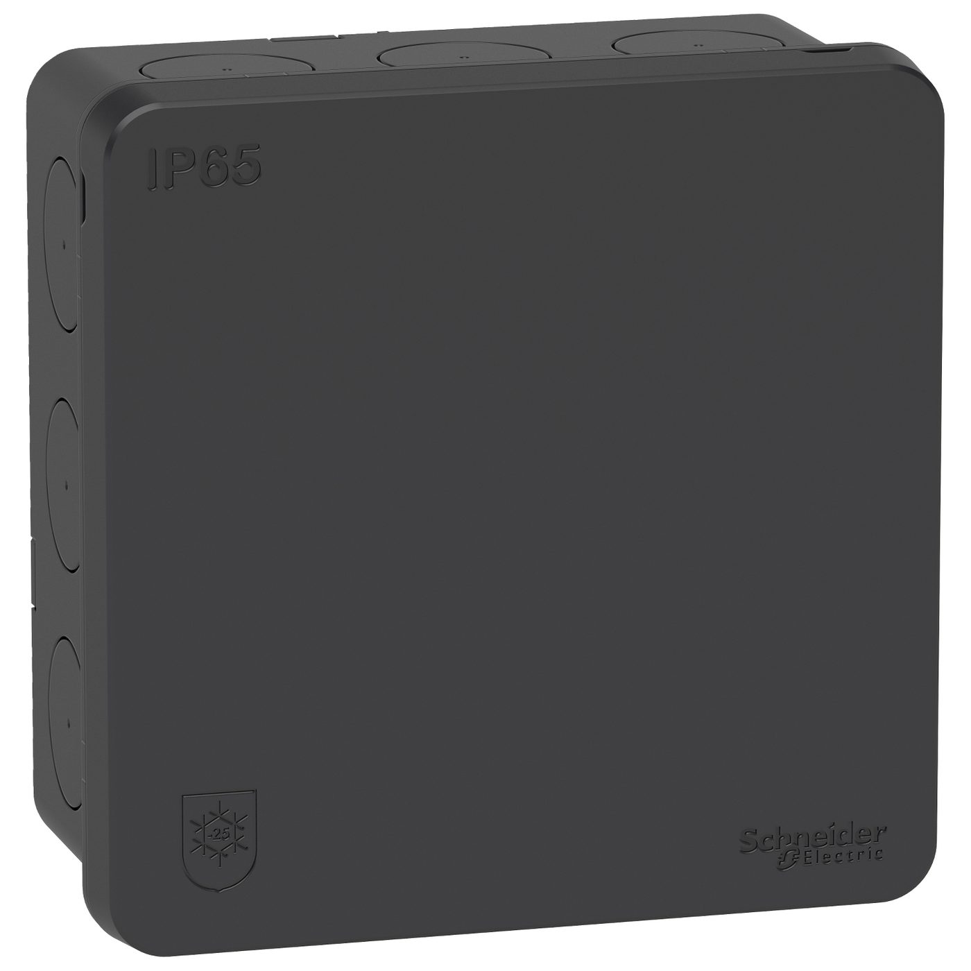 Kopplingsdosa Schneider Electric Mureva Utanpåliggande 2K med Klicklock IP65 utan Anslutningsplint