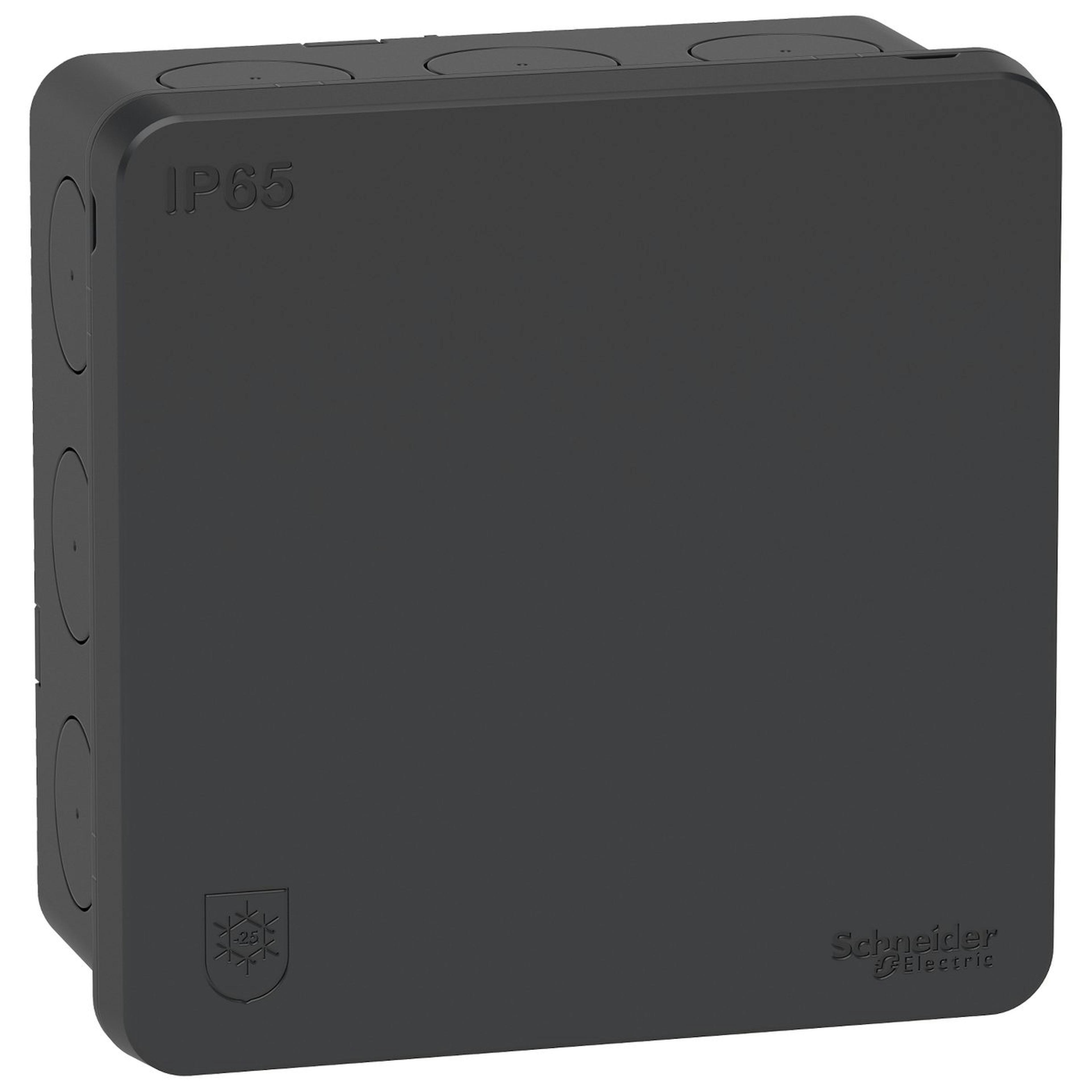 Kopplingsdosa Schneider Electric Mureva Utanpåliggande 2K med Klicklock IP65 utan Anslutningsplint