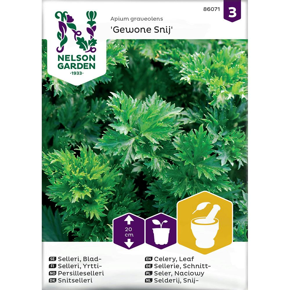 Frö Bladselleri Nelson Garden Gewone Snij