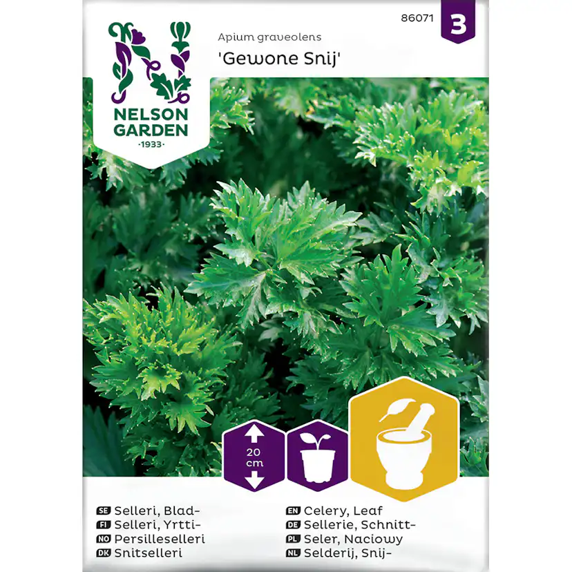 Frö Bladselleri Nelson Garden Gewone Snij