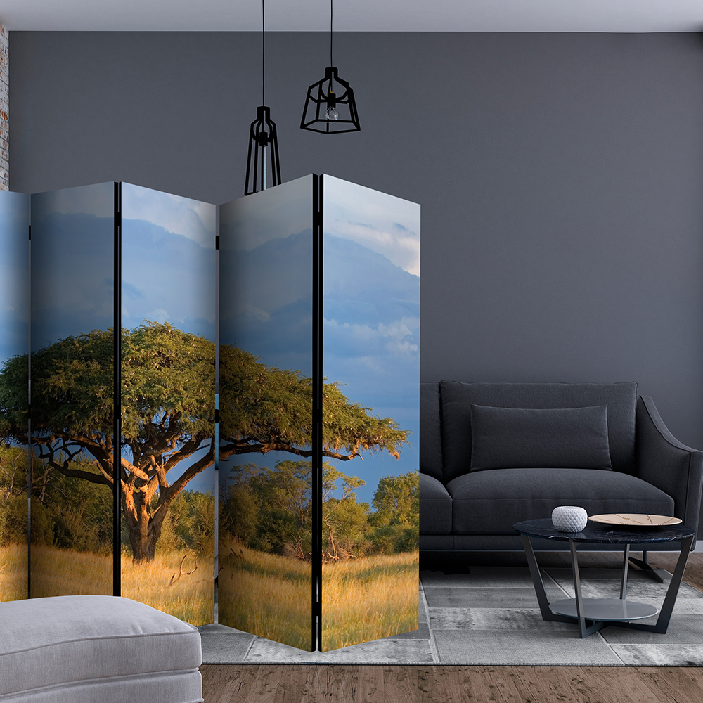 Rumsavdelare Arkiio African Acacia Tree Hwange National Park Zimbabwe II 225x172 cm