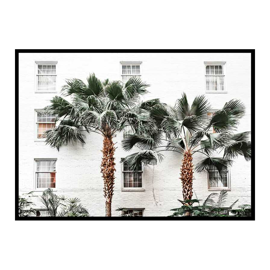 Poster Gallerix City Palms
