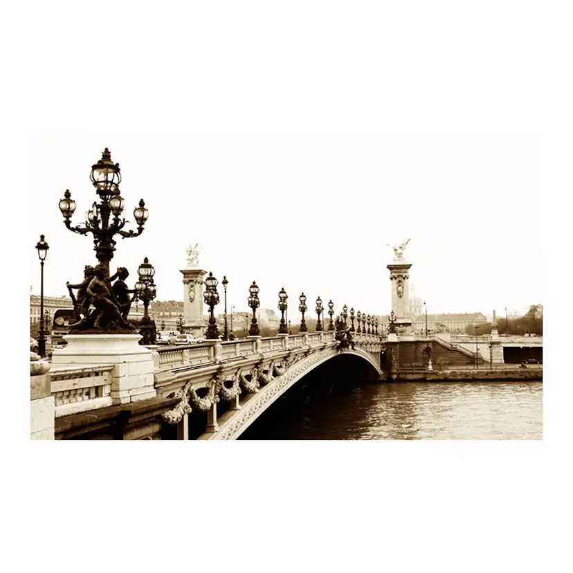 Fototapet Arkiio Alexander III Bridge, Paris 450x270 cm