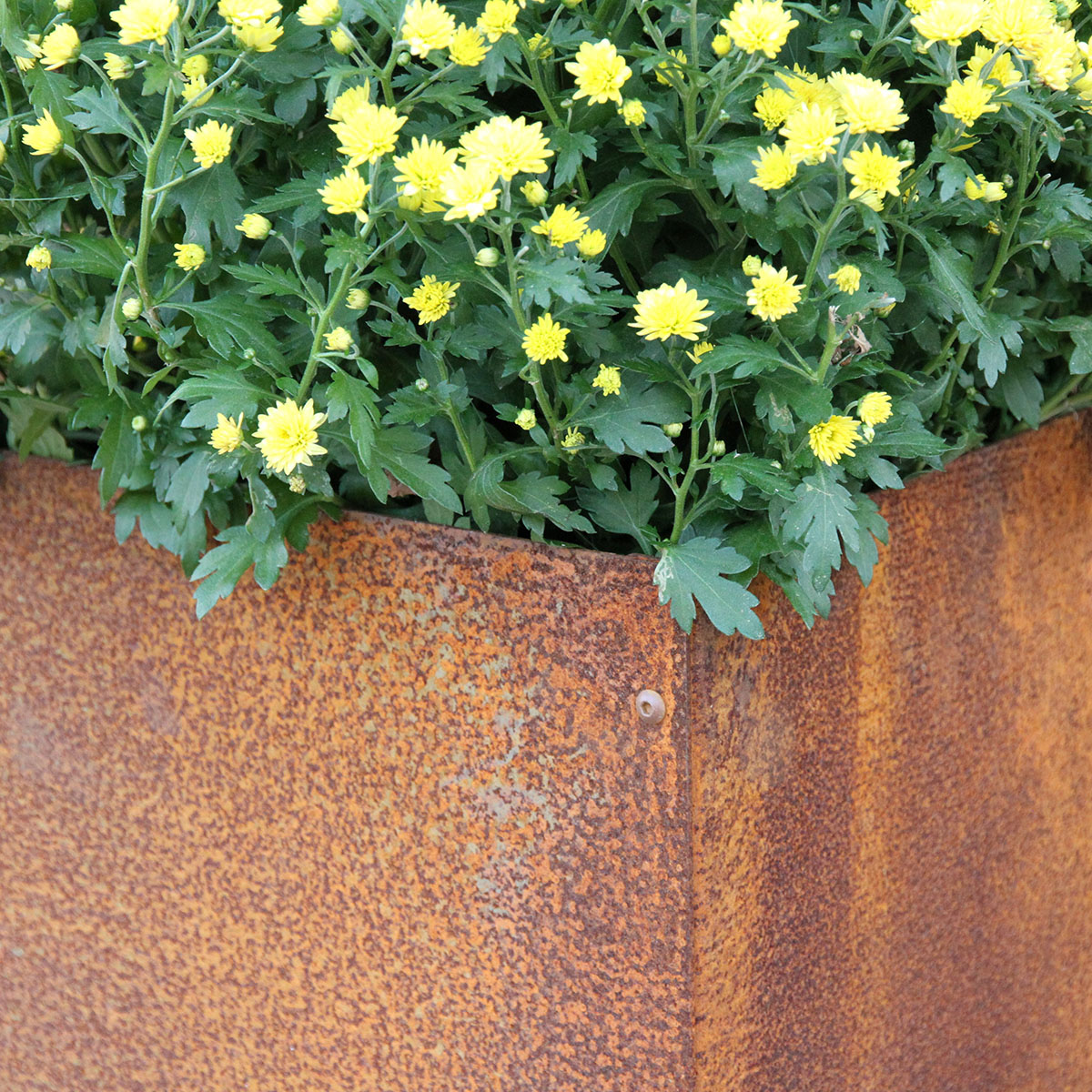 KEBAflexi-garden L-kruka med botten,corten 30x30x40 cm Med botten; Mått: 30x30x40 cm