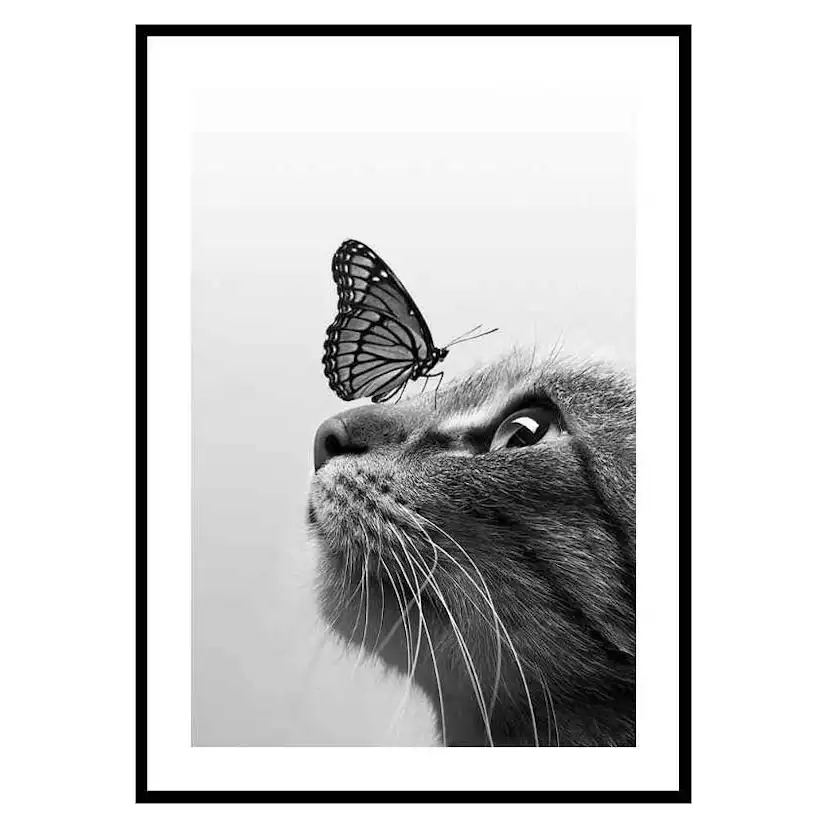 Poster Gallerix Butterfly Cat