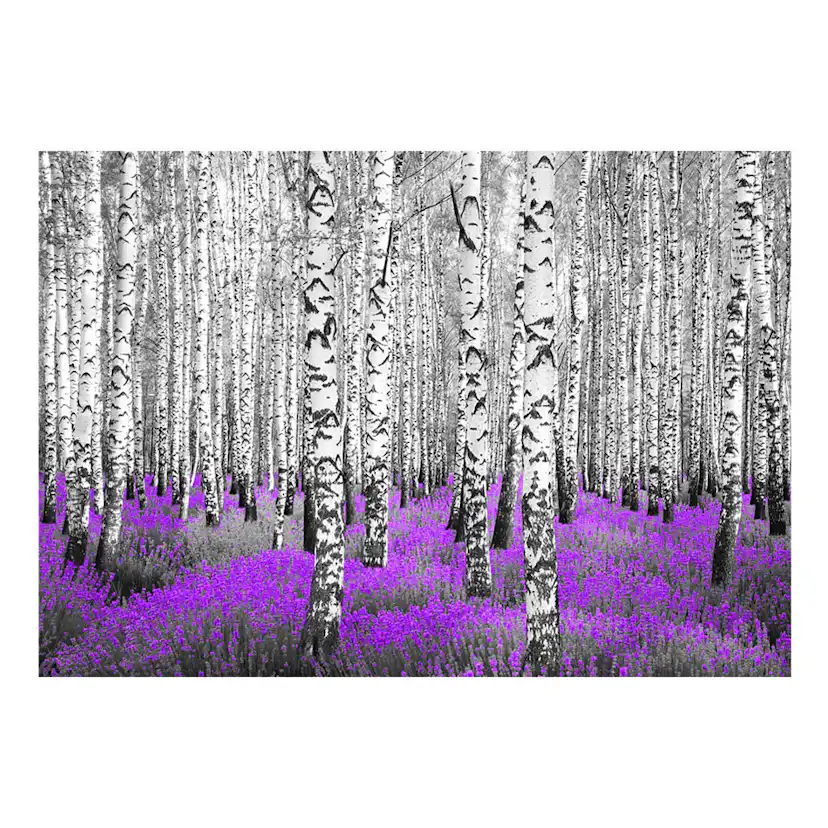 Fototapet Arkiio Purple Asylum