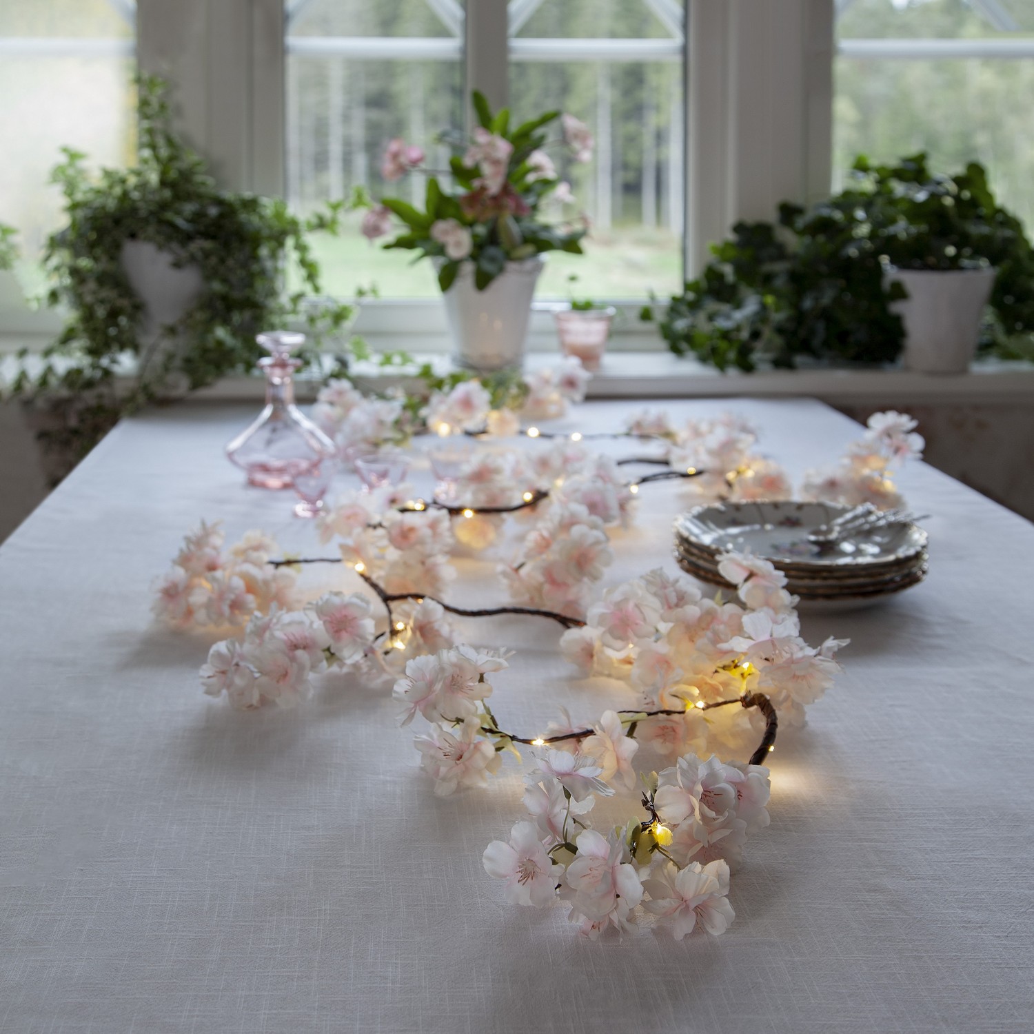 Girlang Star Trading Flower