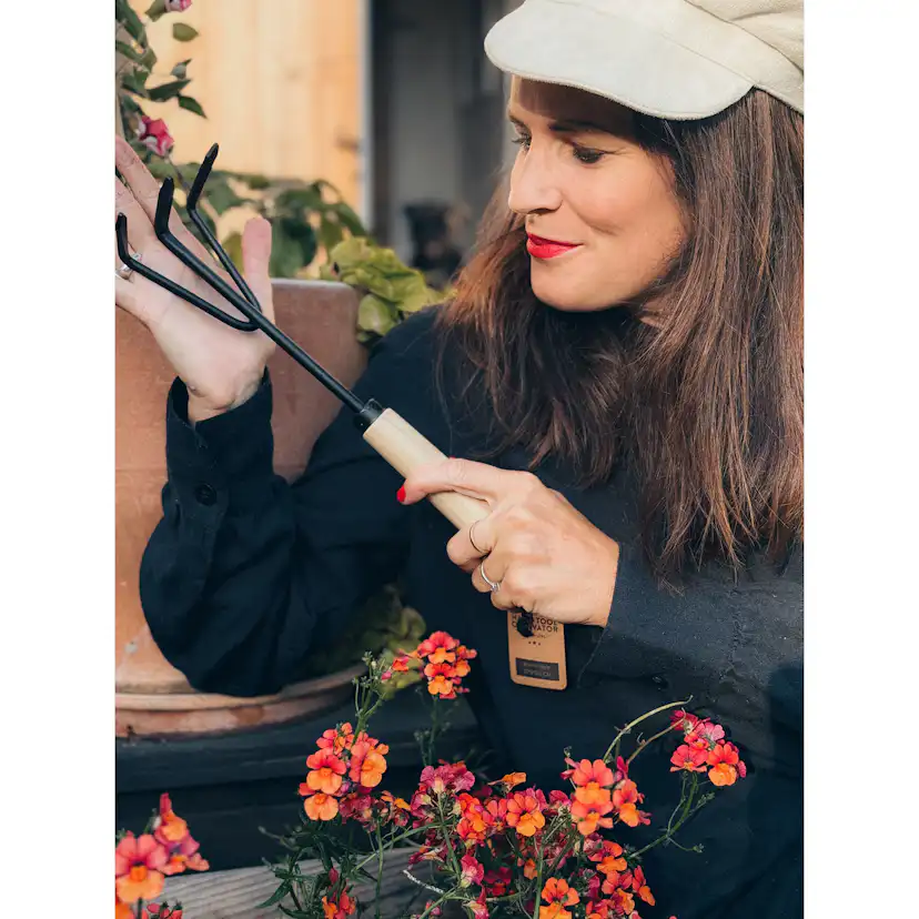 Kultivatorhacka by Benson