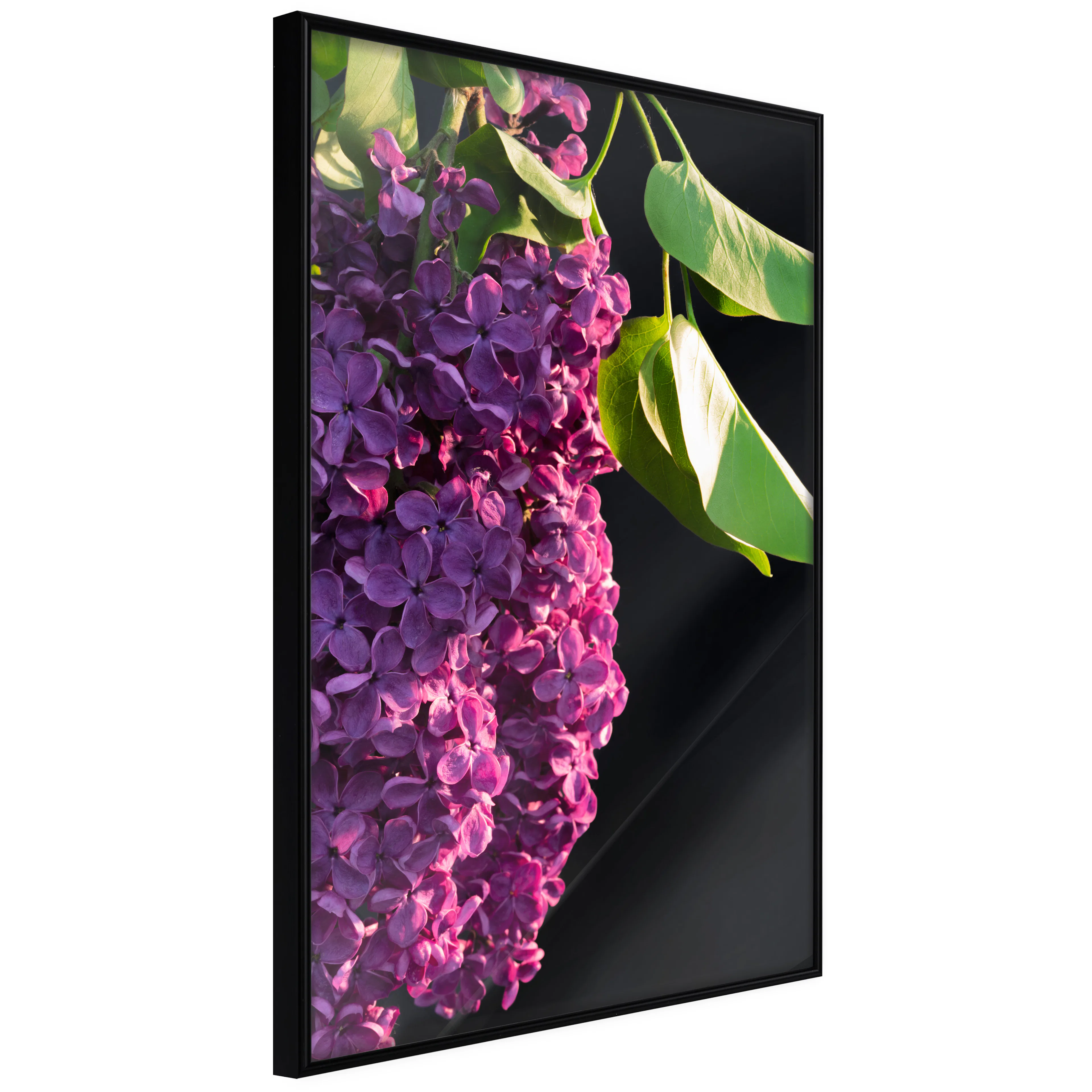 Affisch - Colours of Spring [Poster] 40x60 Svart ram, 40x60 cm
