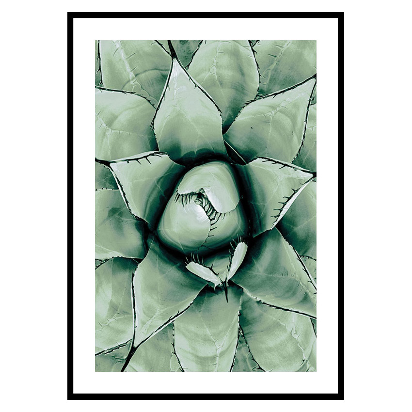Poster Gallerix Agave Close Up No1