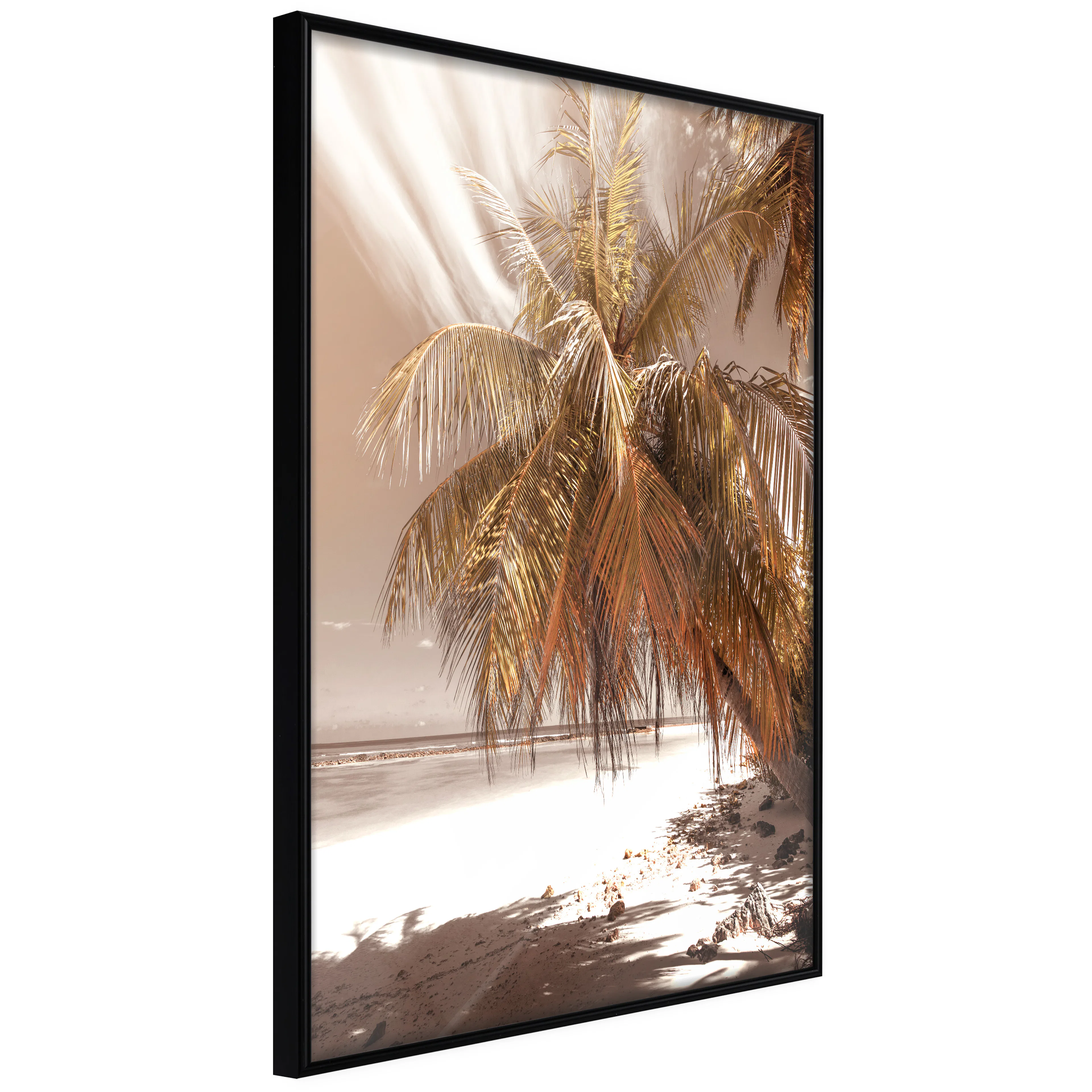 Affisch - Palm Shadow [Poster] 40x60 Svart ram, 40x60 cm