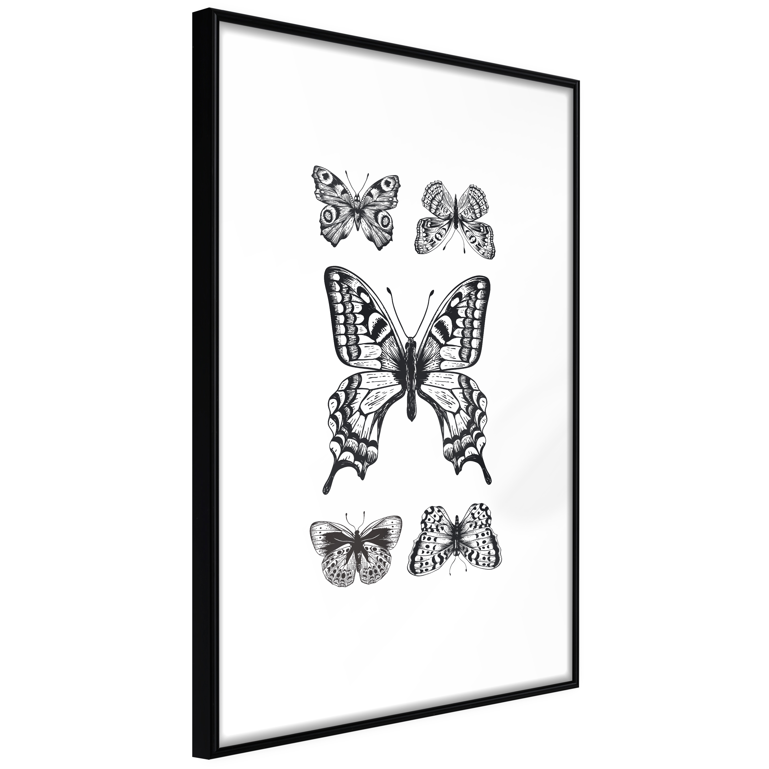 Affisch - Five Butterflies [Poster] 40x60 Svart ram, 40x60 cm