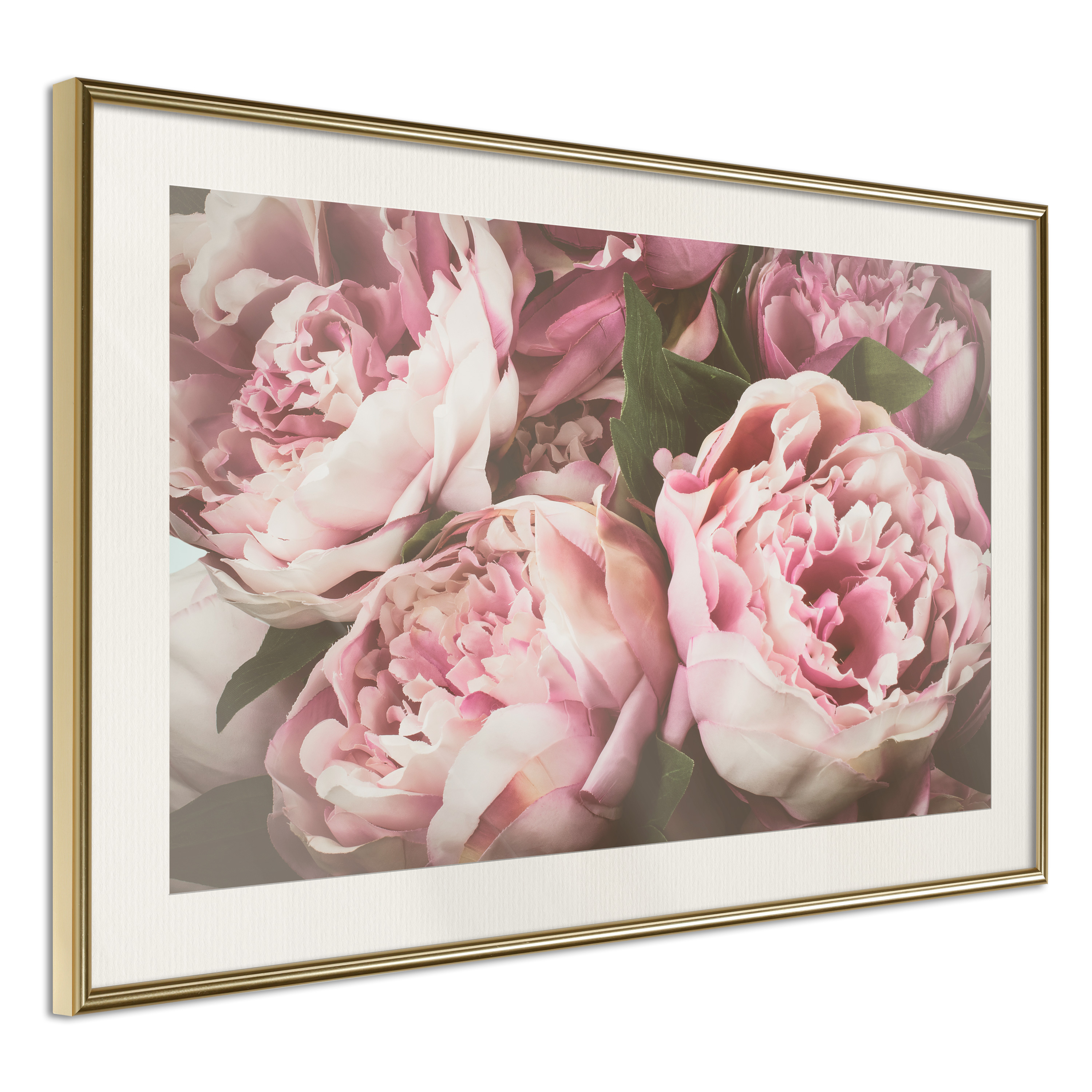 Affisch - Pink Peonies [Poster] 45x30 Guld ram med passepartout, 45x30 cm