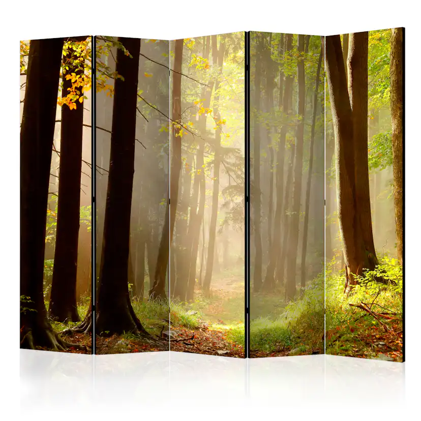 Rumsavdelare Arkiio Mysterious Forest Path II 225x172 cm