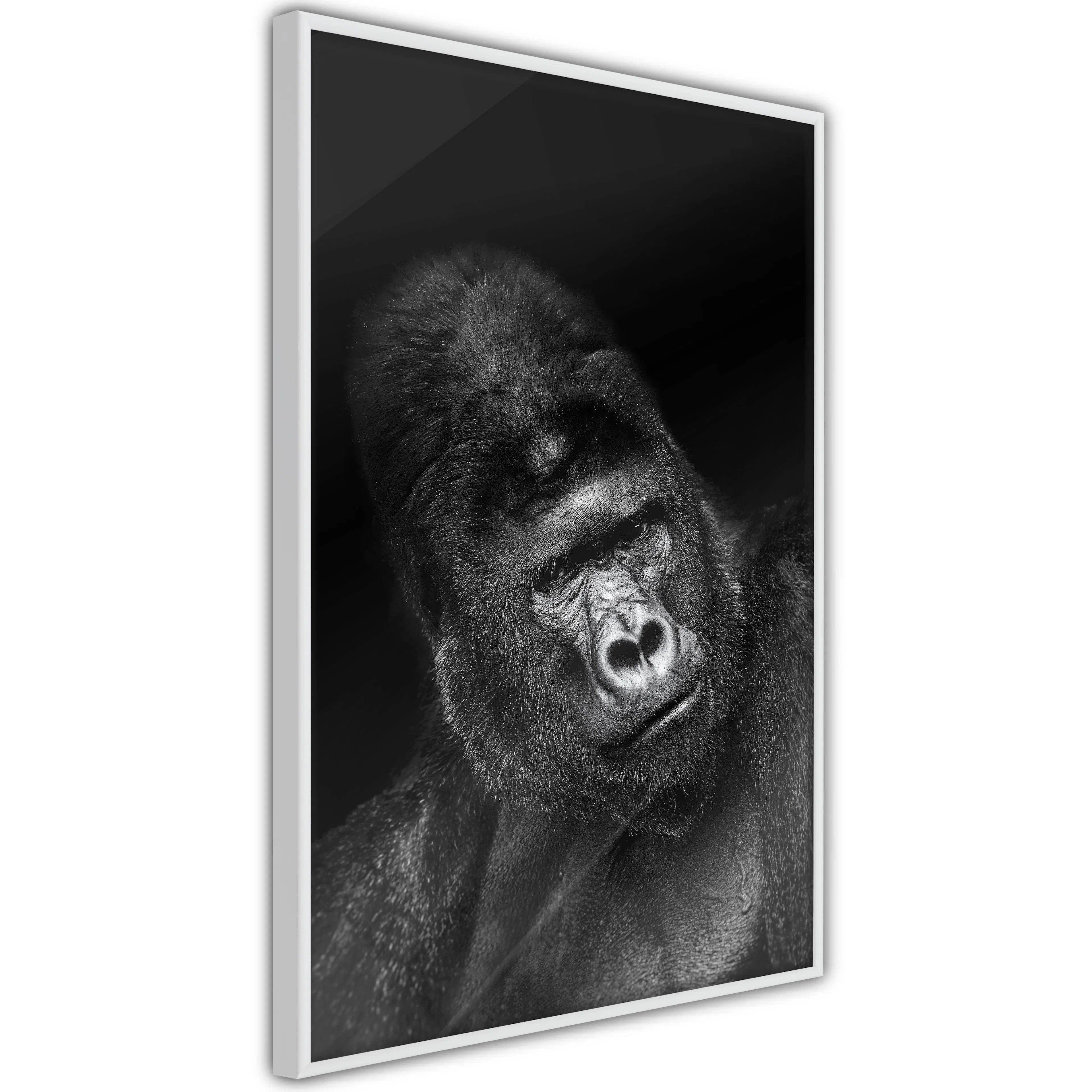 Poster Artgeist Affisch Gorilla