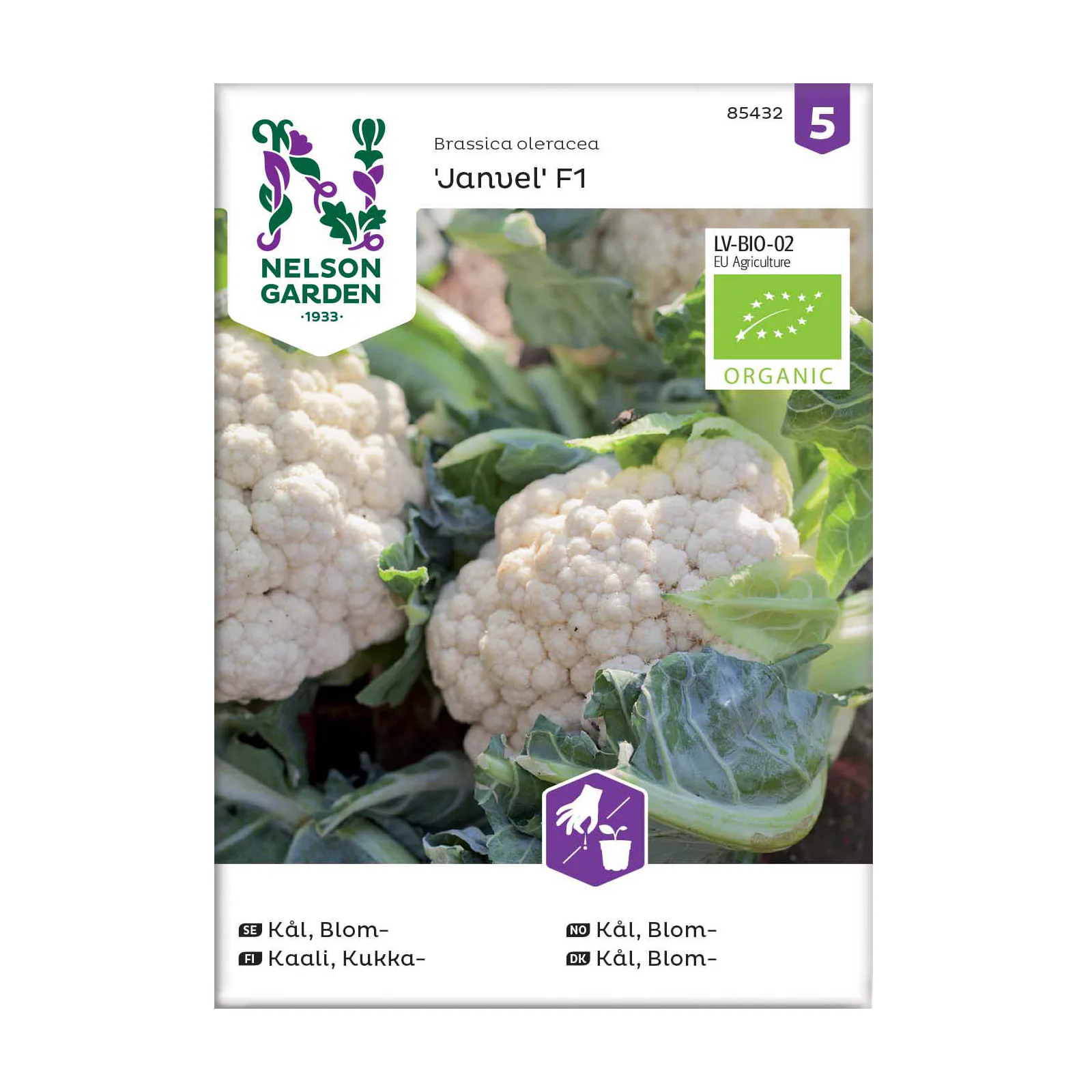 Frö Blomkål Nelson Garden Janvel F1 Organic