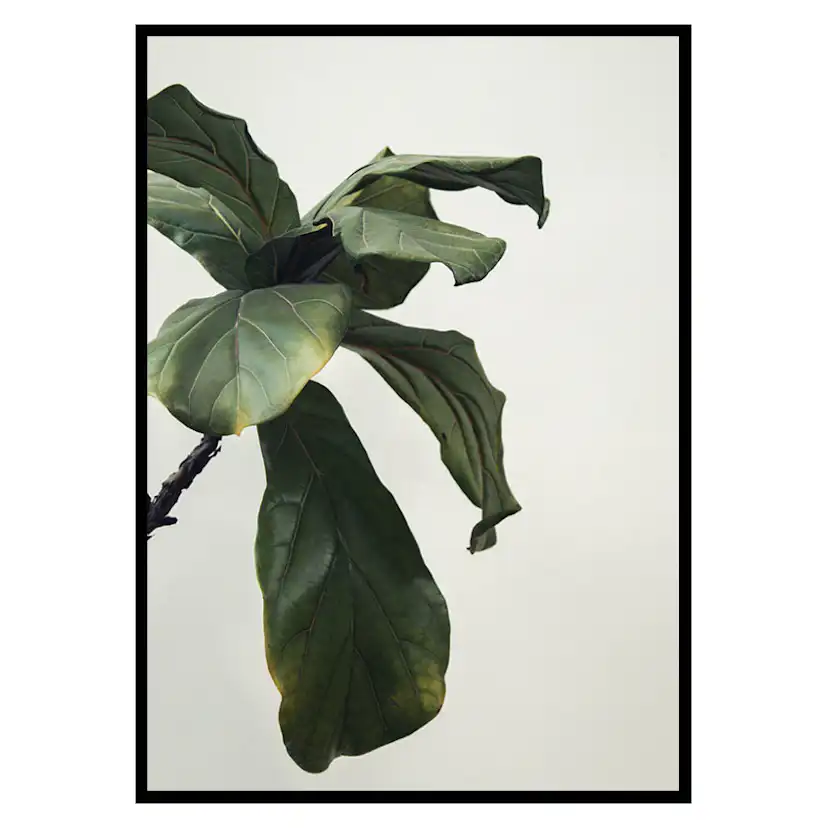 Poster Gallerix Botanical Leaves