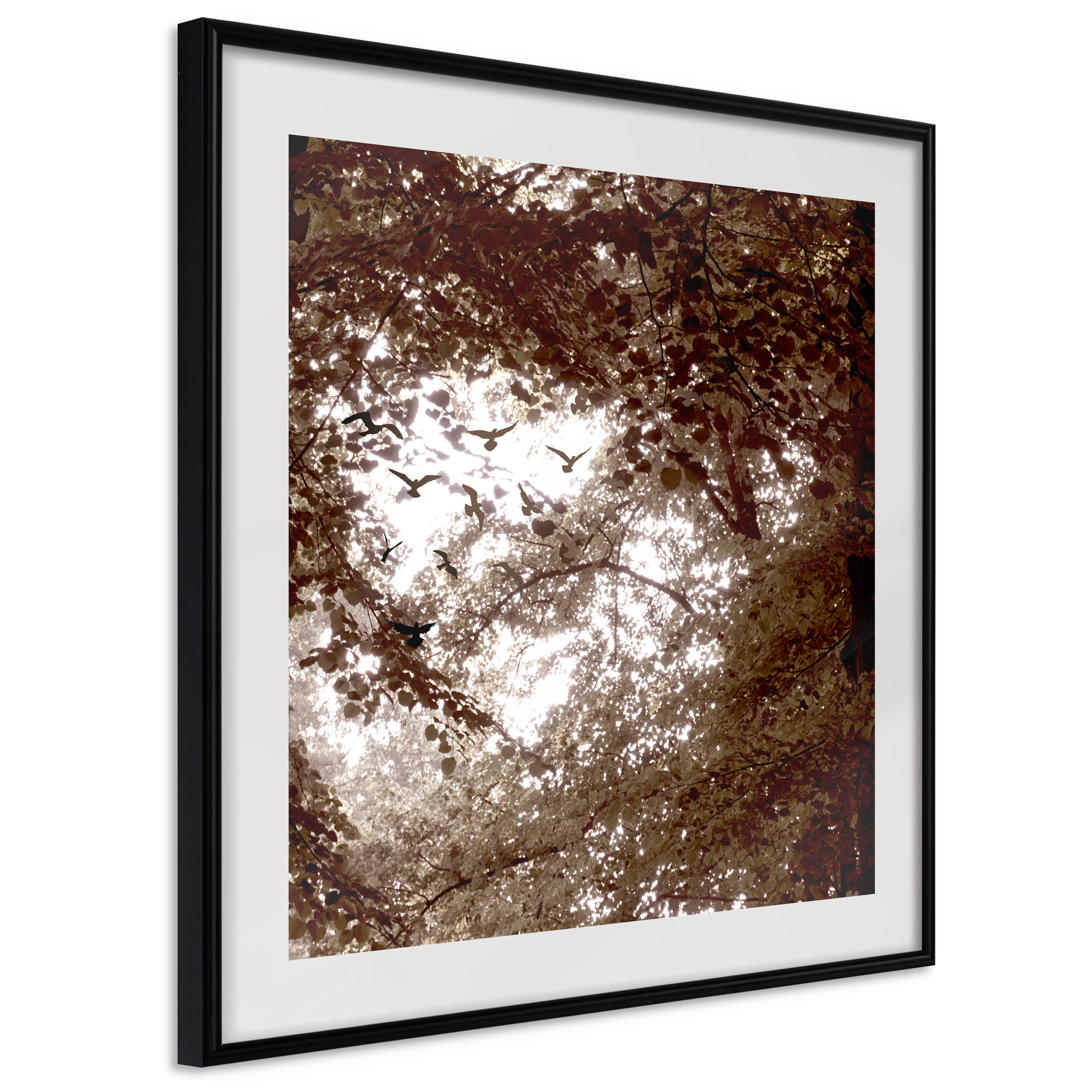 Affisch - Freedom [Poster] 20x20 Svart ram, 20x20 cm