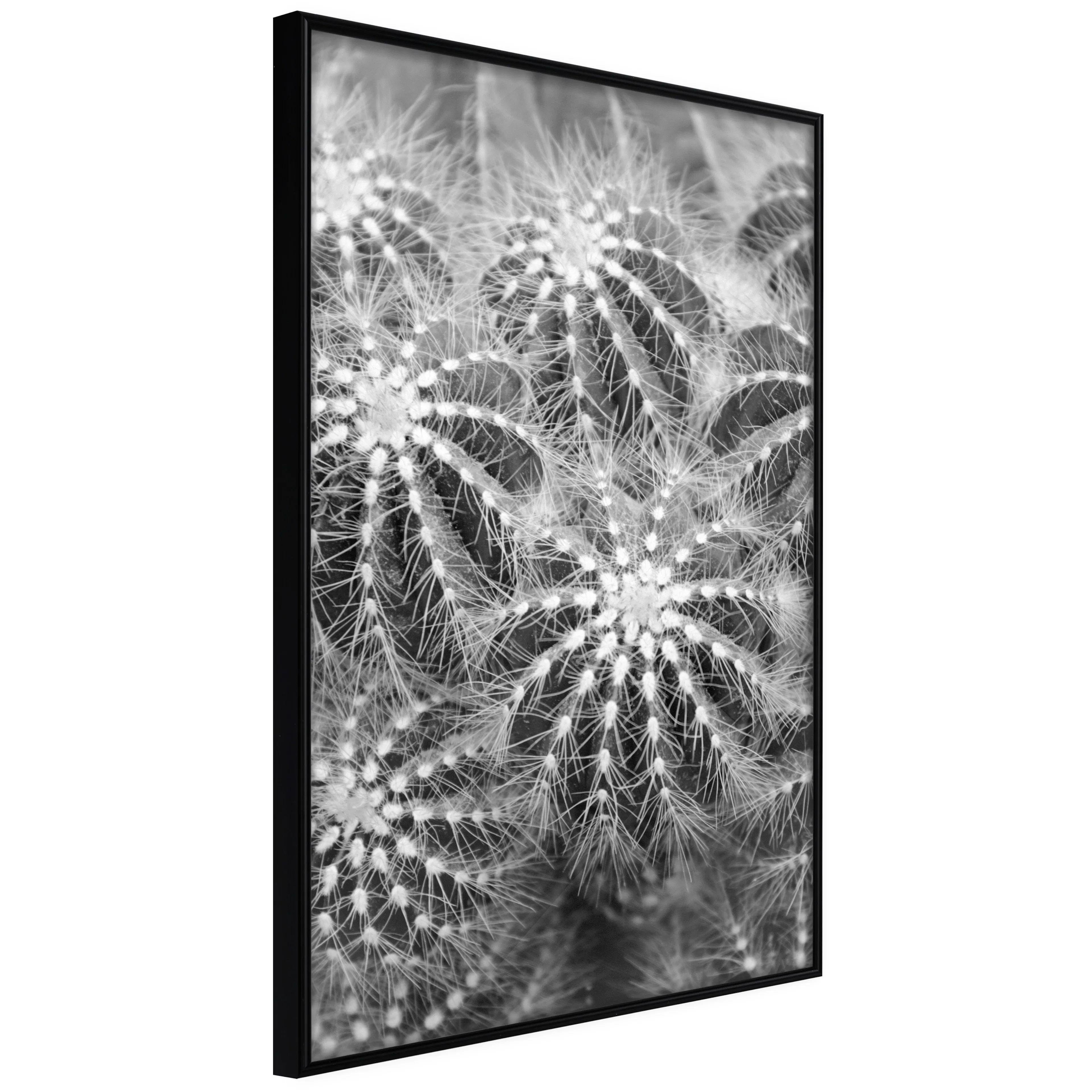 Affisch - Risky Adventure [Poster] 40x60 Svart ram, 40x60 cm