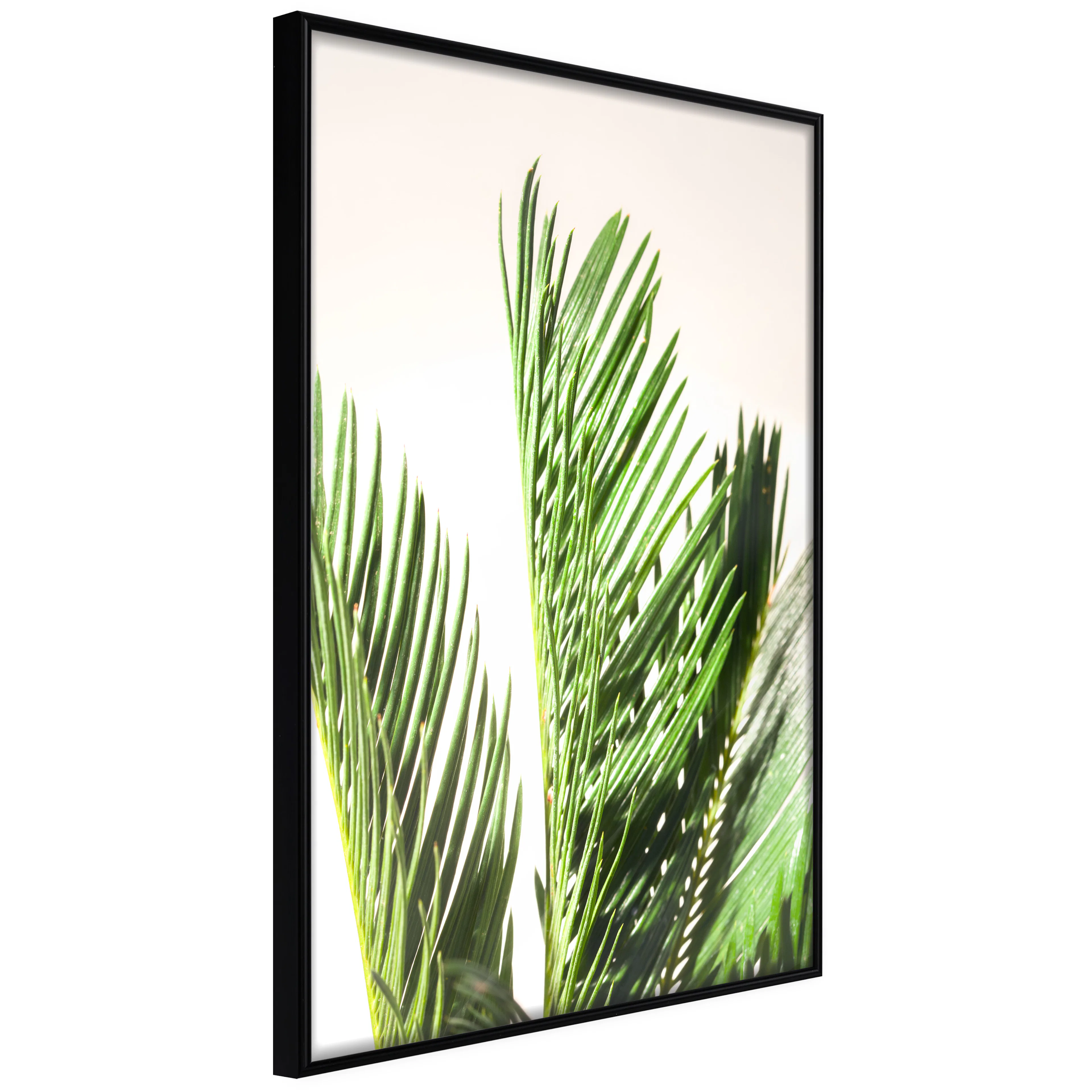 Affisch - Plant Detail [Poster] 40x60 Svart ram, 40x60 cm
