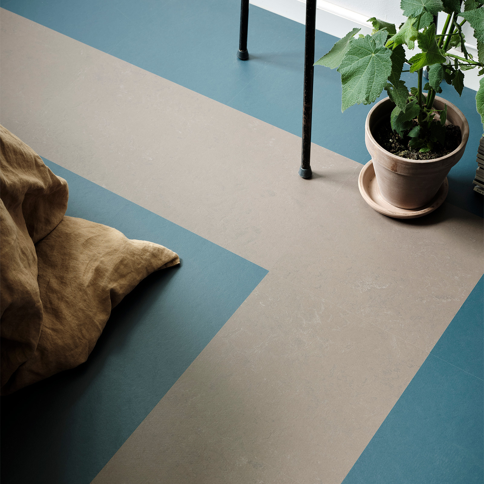 Linoleumgolv Forbo Marmoleum Click Delta Lace 60x30 cm_NEW