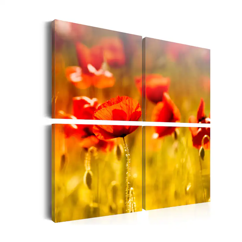 Tavla Arkiio Sommartid