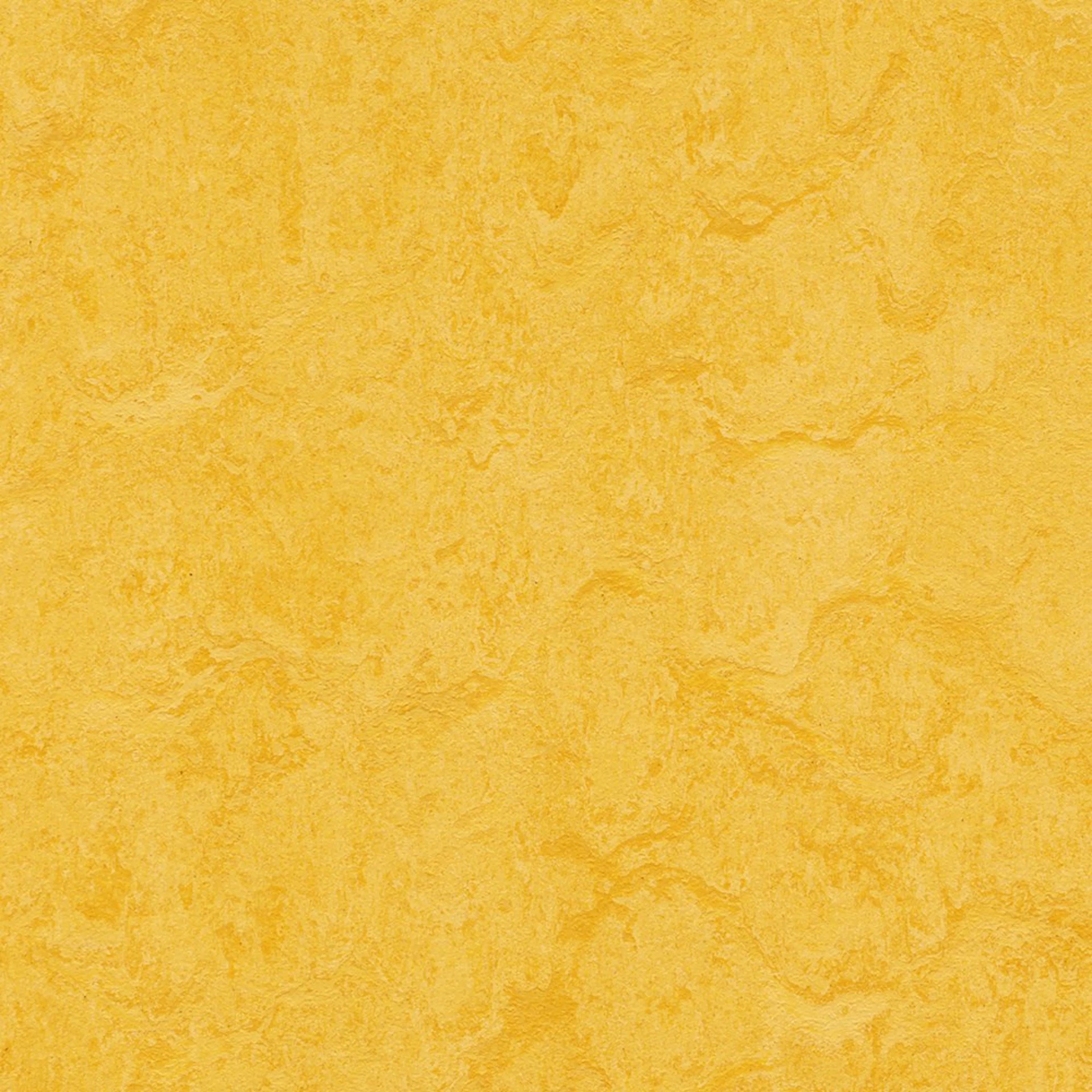 Linoleumgolv Forbo Marmoleum Click Lemon Zest 30x30 cm, Grön med Klickläggning_NEW