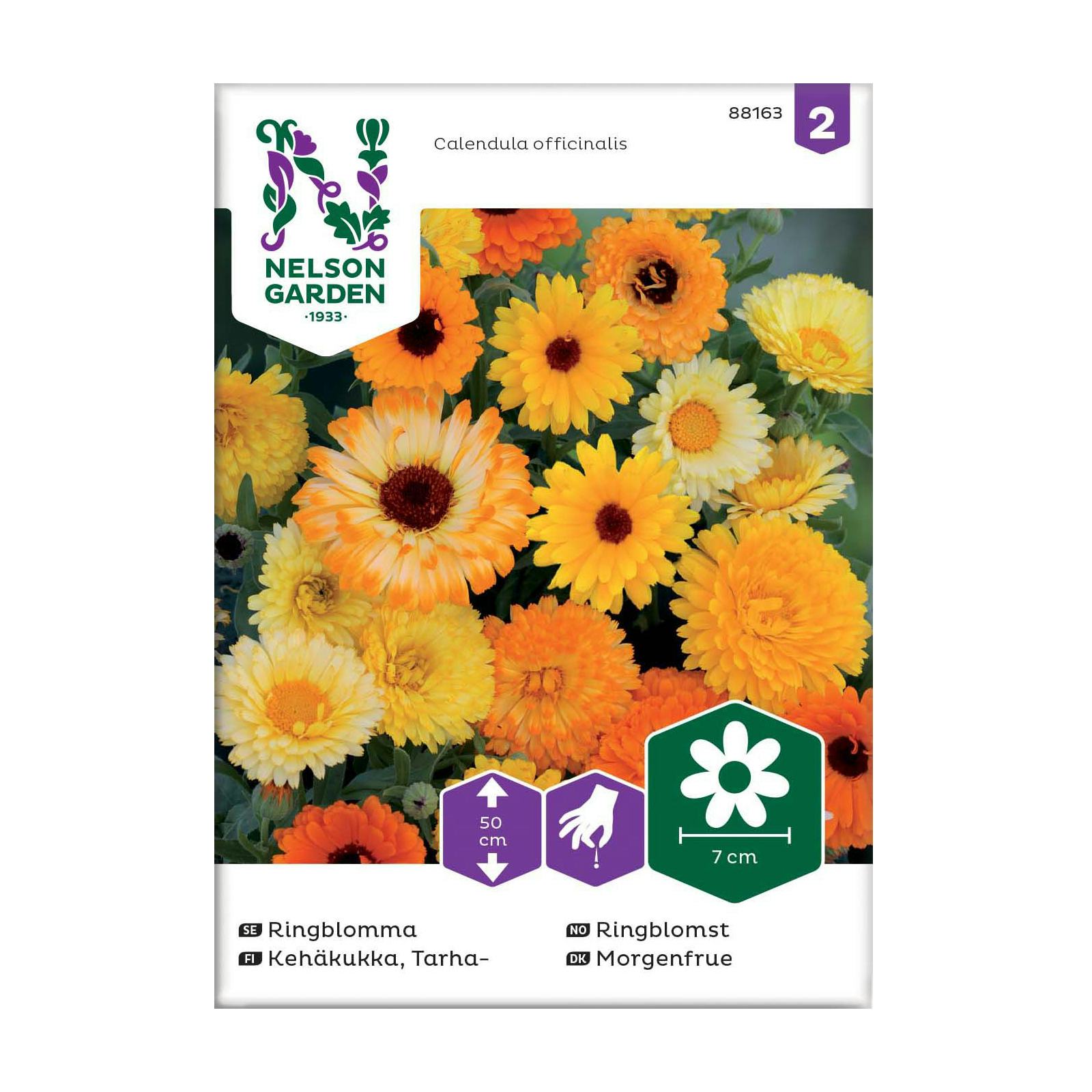 Frö Ringblomma Nelson Garden Mix