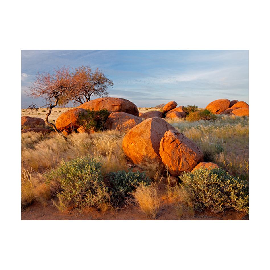 Fototapet Arkiio Afrikanska Landskapet, Namibia