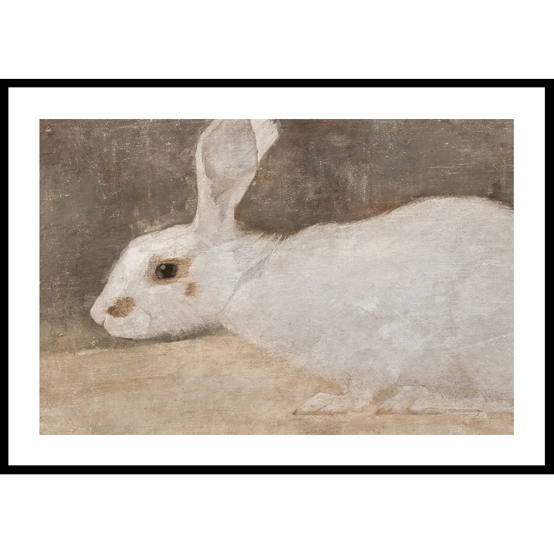 Poster Gallerix Witte Konijn By Jan Mankes