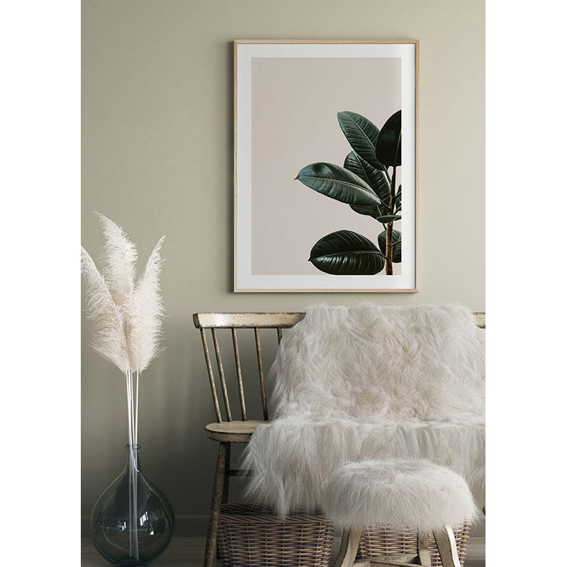 Poster Gallerix Rubber Plant Natural